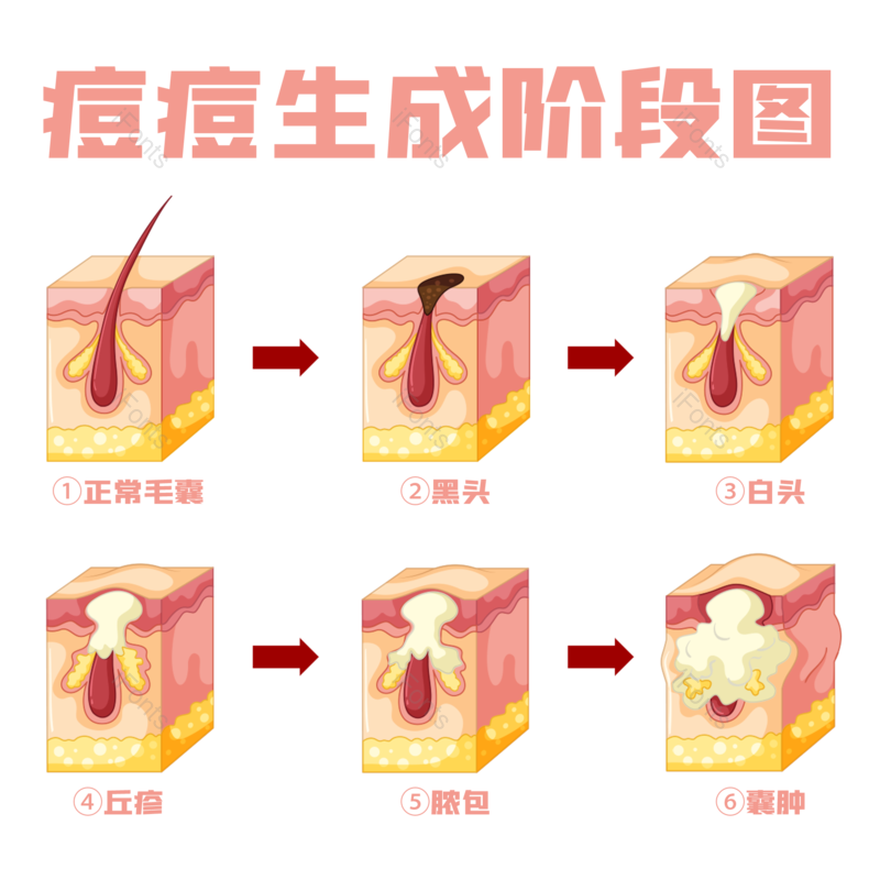 护肤图片,元素,PNG,免抠素材